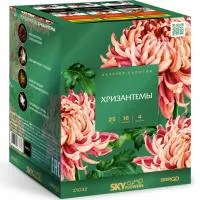 Фейерверк Хризантемы. Купить Фейерверк Хризантемы Z1032 — магазин продажа салютов недорого —  Благовещенск Амурская область, производитель Русский фейерверк - Русская пиротехника, доставка по России  +7 963 711 89 03 — Благовещенск Амурская область | blagoveshchenskamurskaya.piroclub.ru