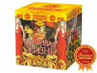 Фейерверк Красивая жизнь РС9640 купить от производителя Русская Пиротехника — Благовещенск Амурская область