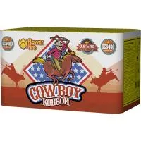 Батарея салютов Ковбой ОС6490 купить от производителя Огненный Цветок — Благовещенск Амурская область