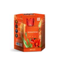 Фейерверк Тюльпаны 19. Купить Фейерверк Тюльпаны 19 Z1050 — магазин продажа салютов недорого —  Благовещенск Амурская область, производитель Русский фейерверк - Русская пиротехника, доставка по России  +7 963 711 89 03 — Благовещенск Амурская область | blagoveshchenskamurskaya.piroclub.ru