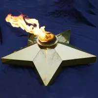 Звезда (газовая горелка) (1636) производство комплект горелка ГВД 379 10 89 00 ПС - ø 1000 мм. ветроустойчивая  в Благовещенске Амурской области