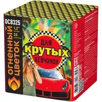 Салют Для крутых девчонок New ОС8326 купить от производителя Огненный Цветок — Благовещенск Амурская область